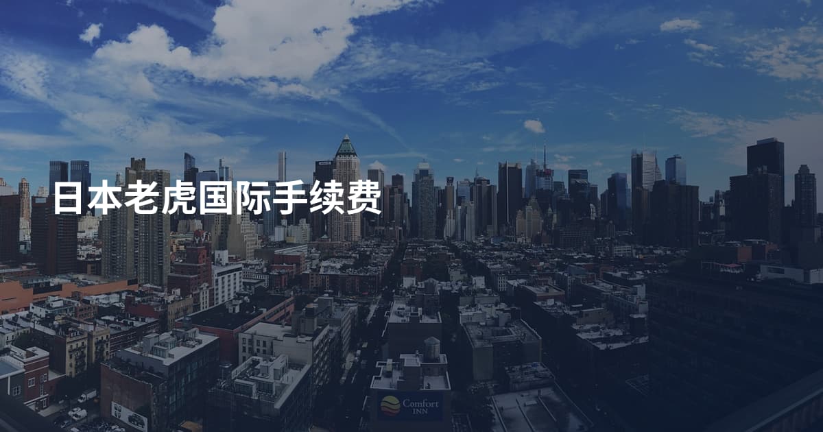 日本老虎国际手续费
