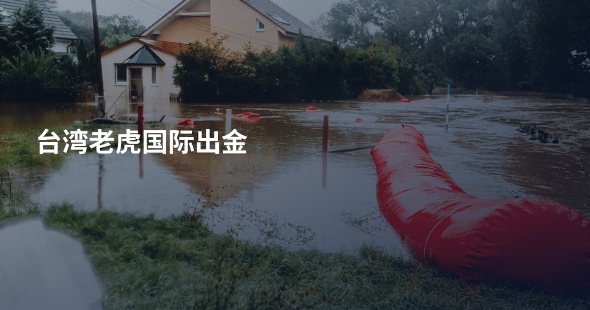 台湾老虎国际出金