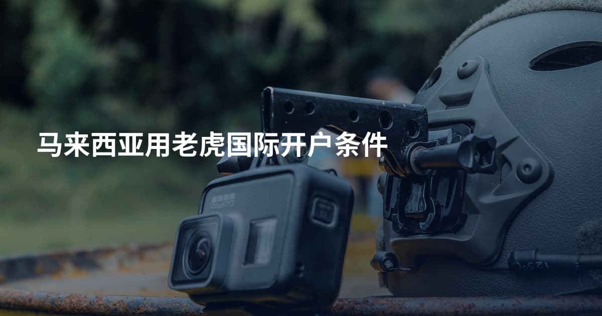 马来西亚用老虎国际开户条件