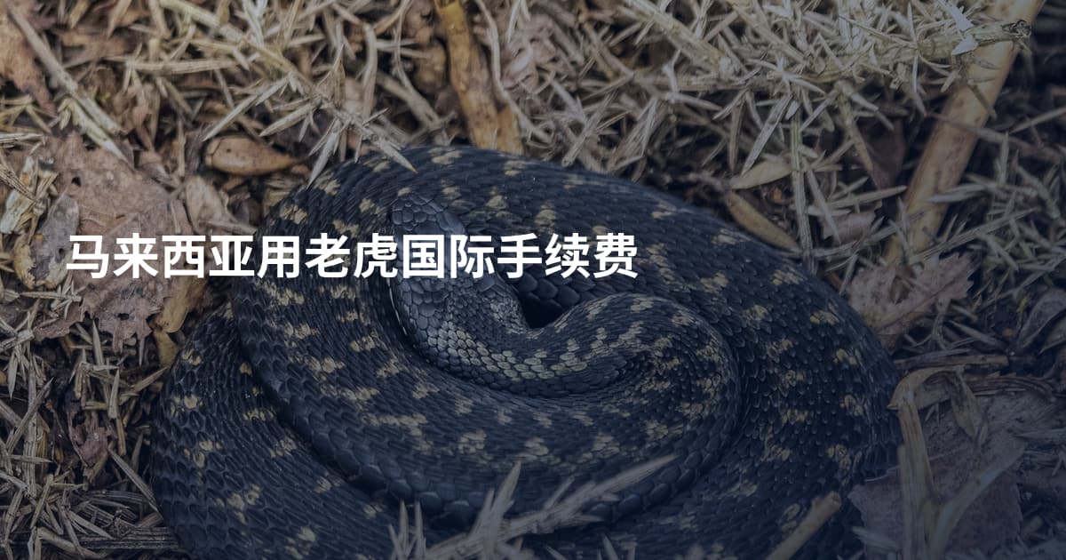 马来西亚用老虎国际手续费