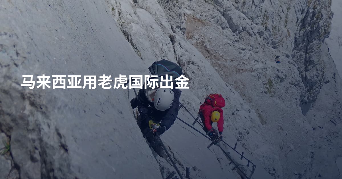 马来西亚用老虎国际出金