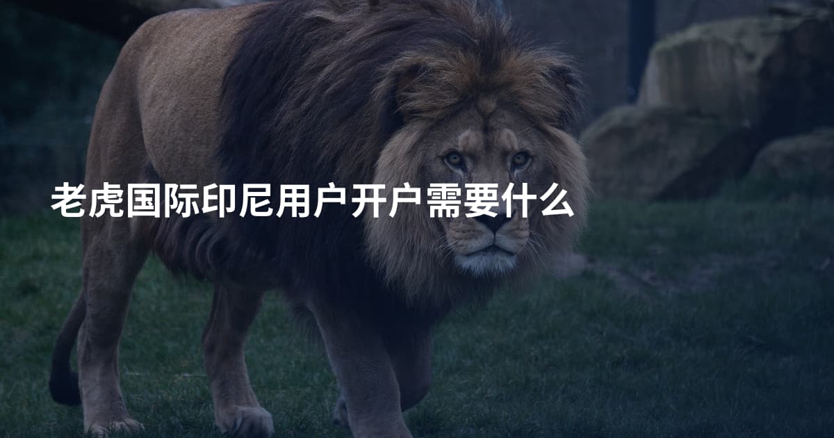 老虎国际印尼用户开户需要什么