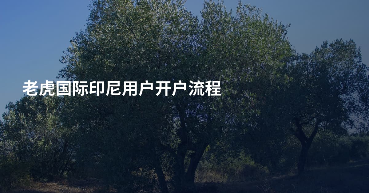 老虎国际印尼用户开户流程