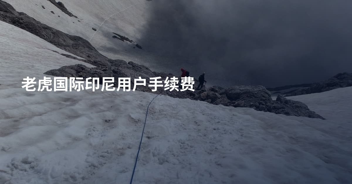 老虎国际印尼用户手续费