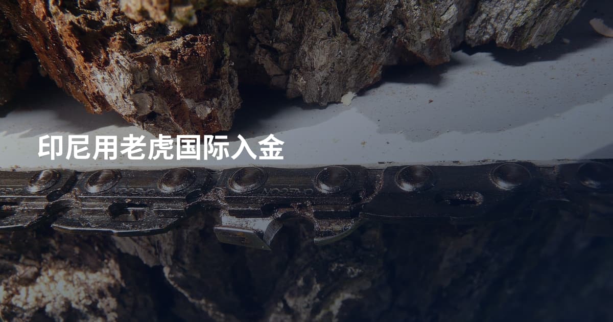 印尼用老虎国际入金