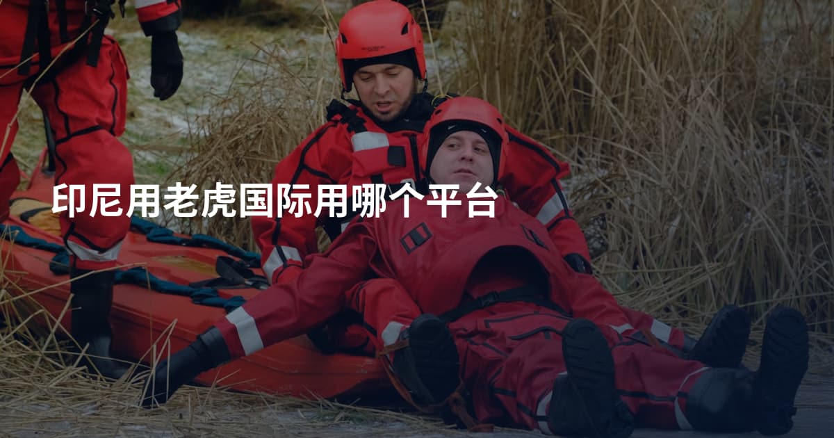 印尼用老虎国际用哪个平台