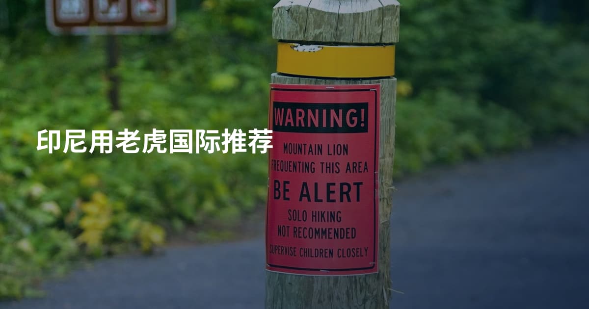 印尼用老虎国际推荐