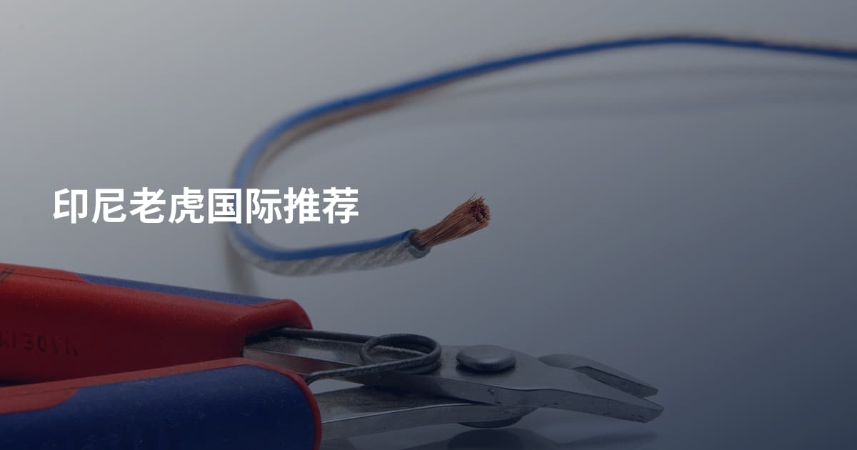 印尼老虎国际推荐