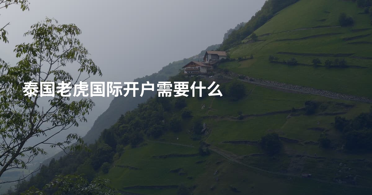 泰国老虎国际开户需要什么