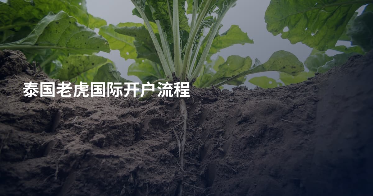 泰国老虎国际开户流程