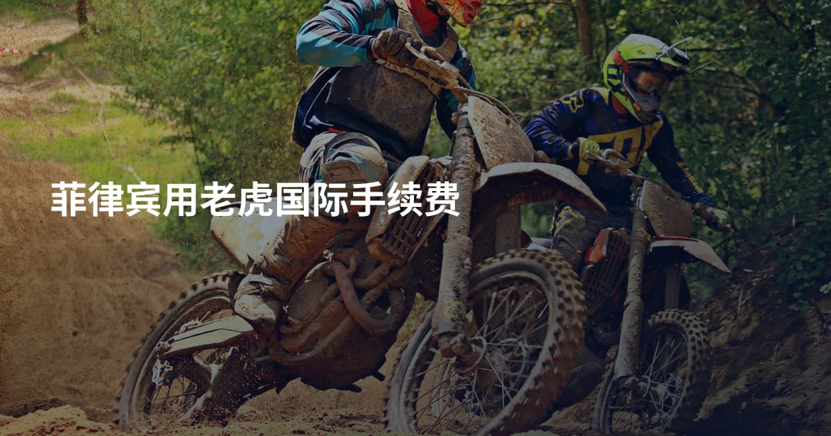 菲律宾用老虎国际手续费