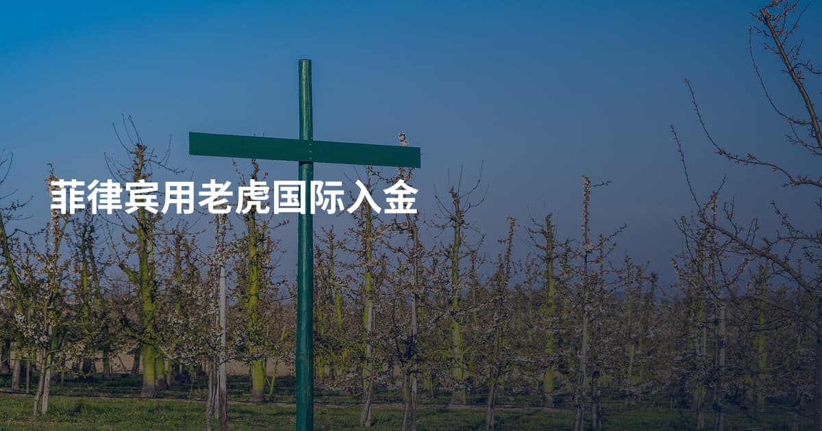 菲律宾用老虎国际入金