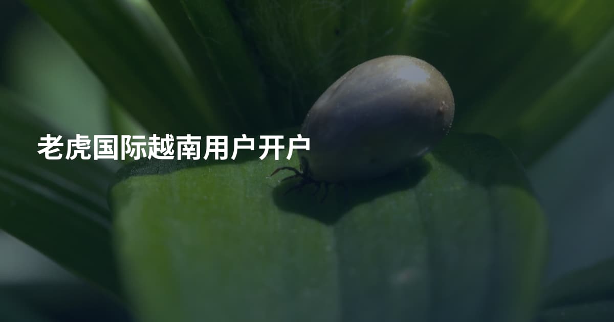 老虎国际越南用户开户