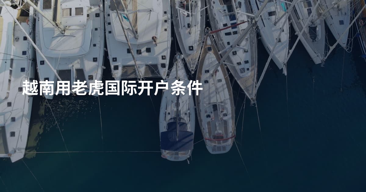 越南用老虎国际开户条件