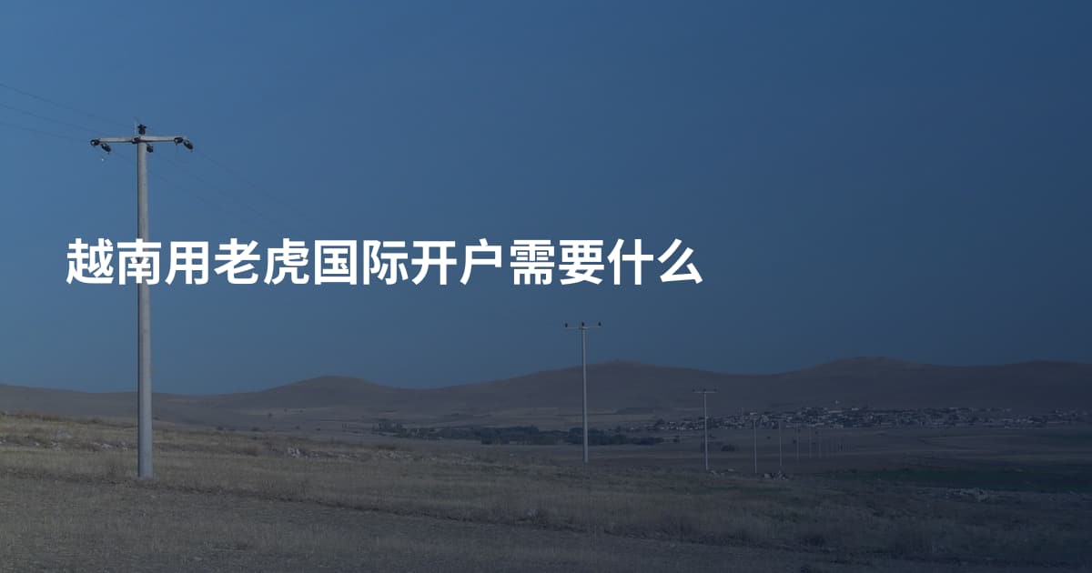 越南用老虎国际开户需要什么