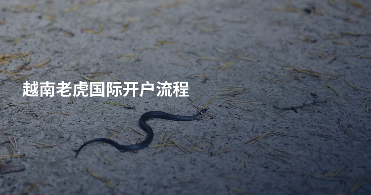 越南老虎国际开户流程