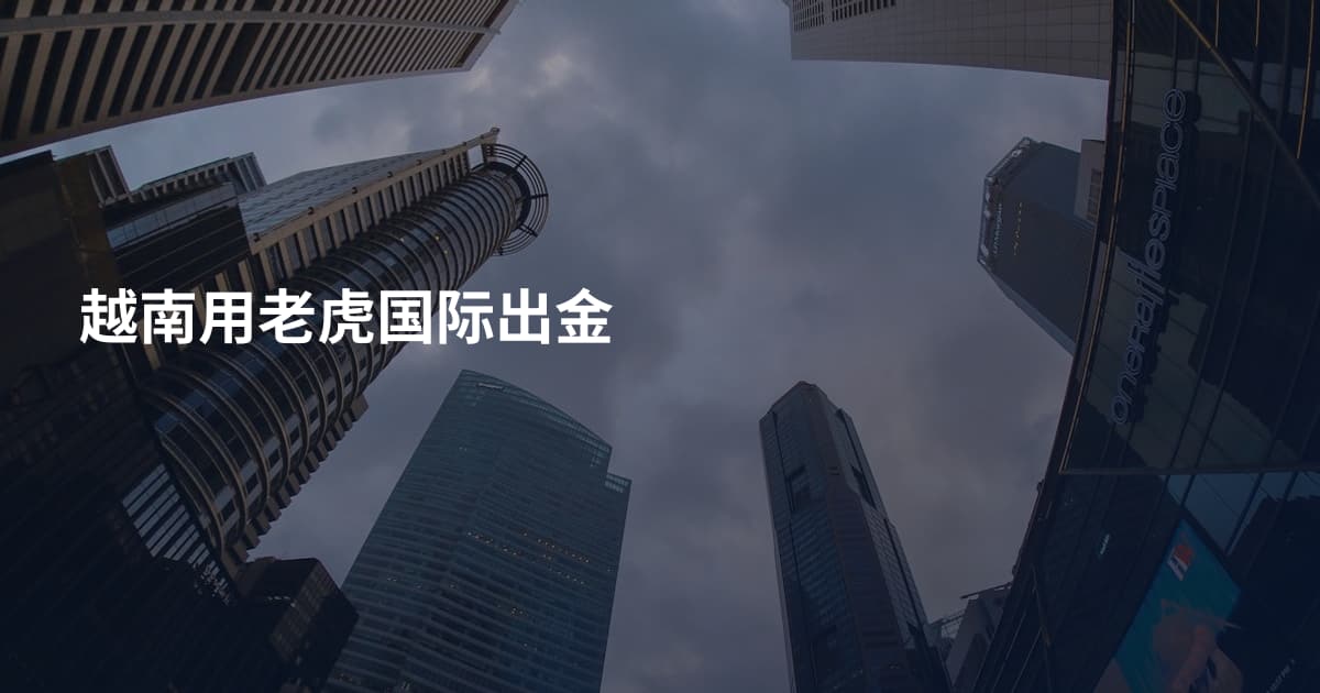 越南用老虎国际出金