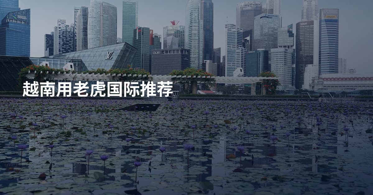 越南用老虎国际推荐