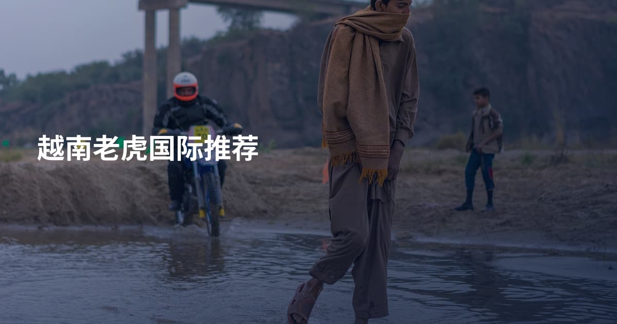 越南老虎国际推荐