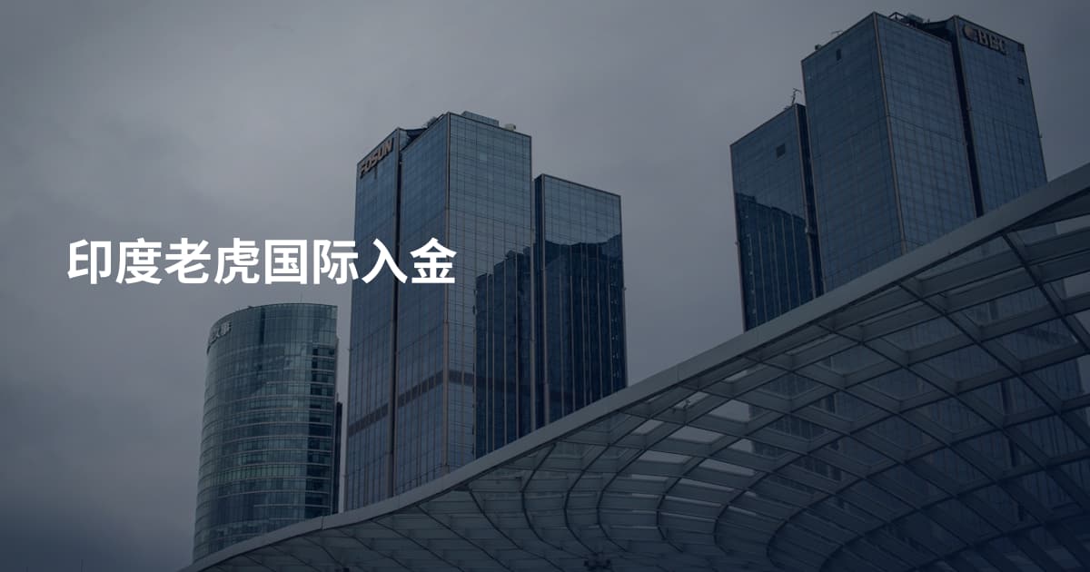 印度老虎国际入金