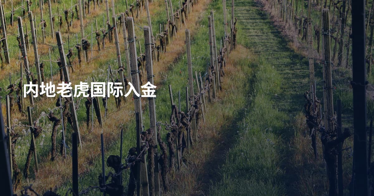 内地老虎国际入金