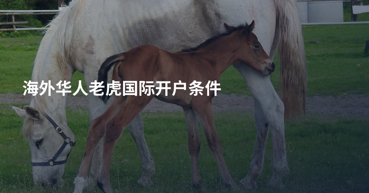 海外华人老虎国际开户条件