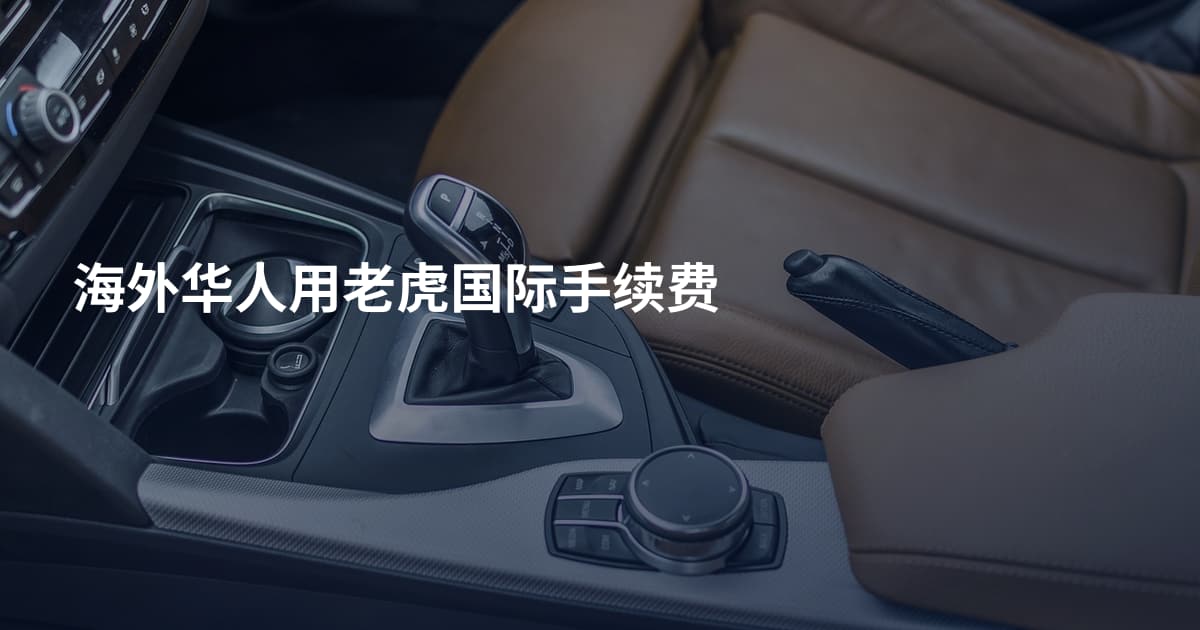 海外华人用老虎国际手续费