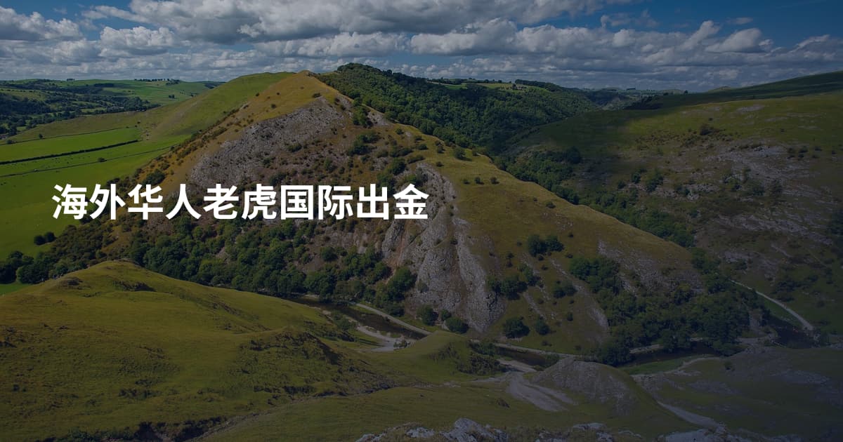 海外华人老虎国际出金