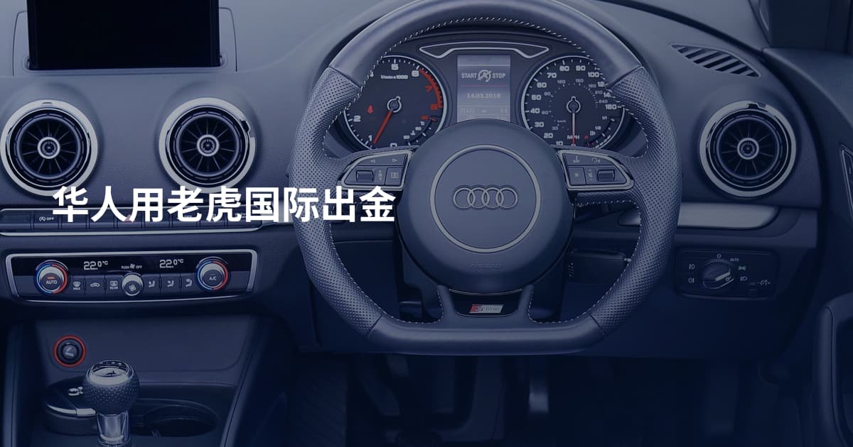 华人用老虎国际出金