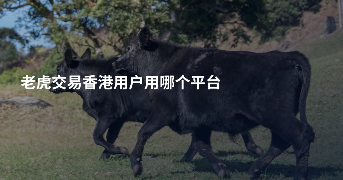 老虎交易香港用户用哪个平台