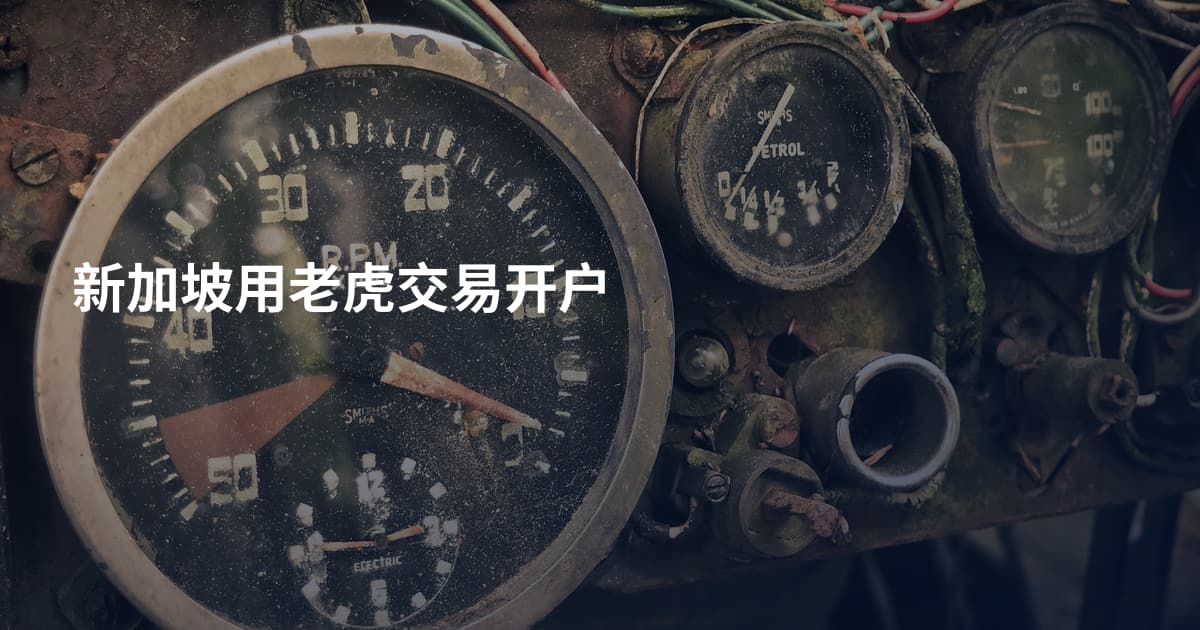 新加坡用老虎交易开户