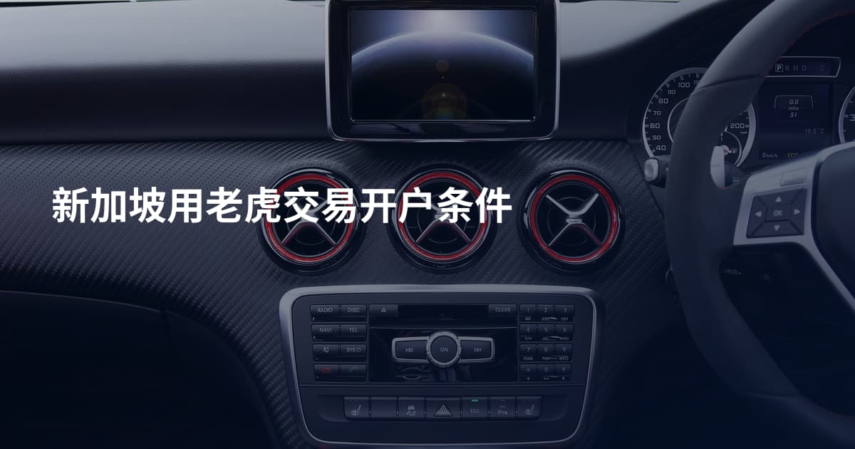 新加坡用老虎交易开户条件