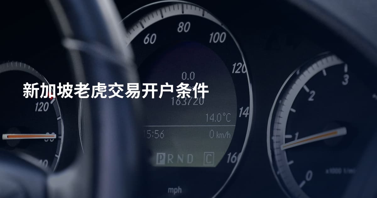 新加坡老虎交易开户条件