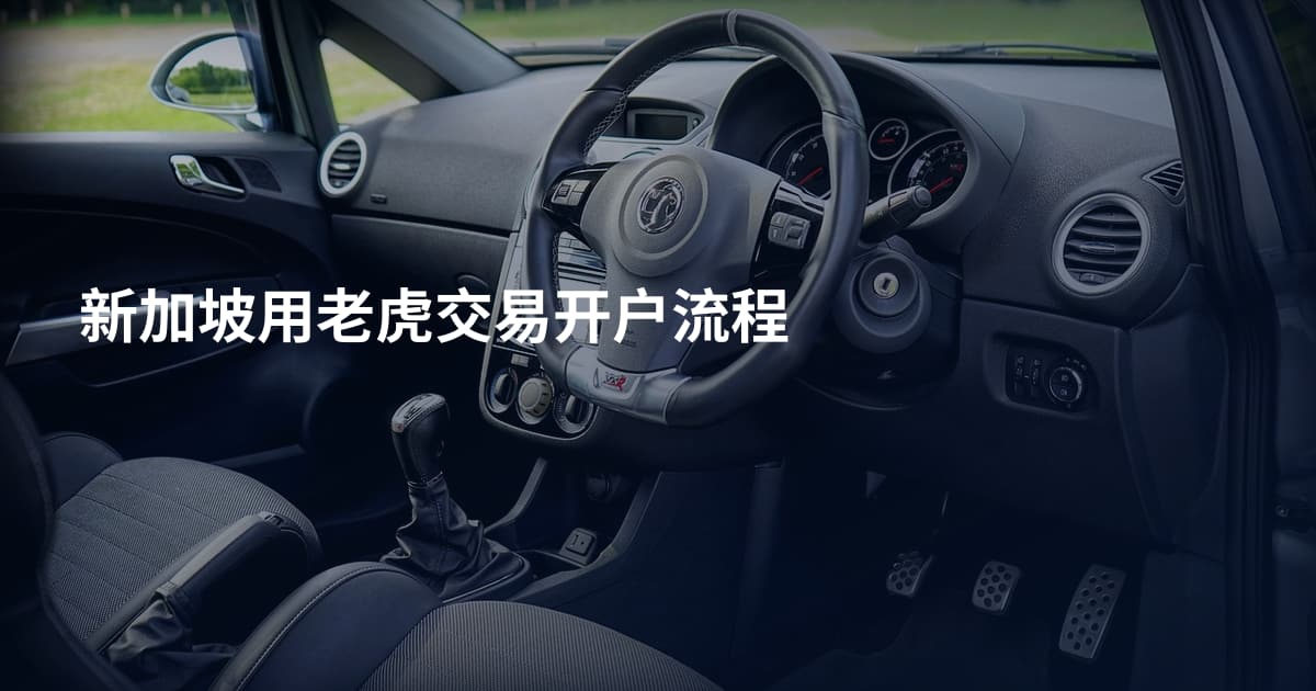 新加坡用老虎交易开户流程