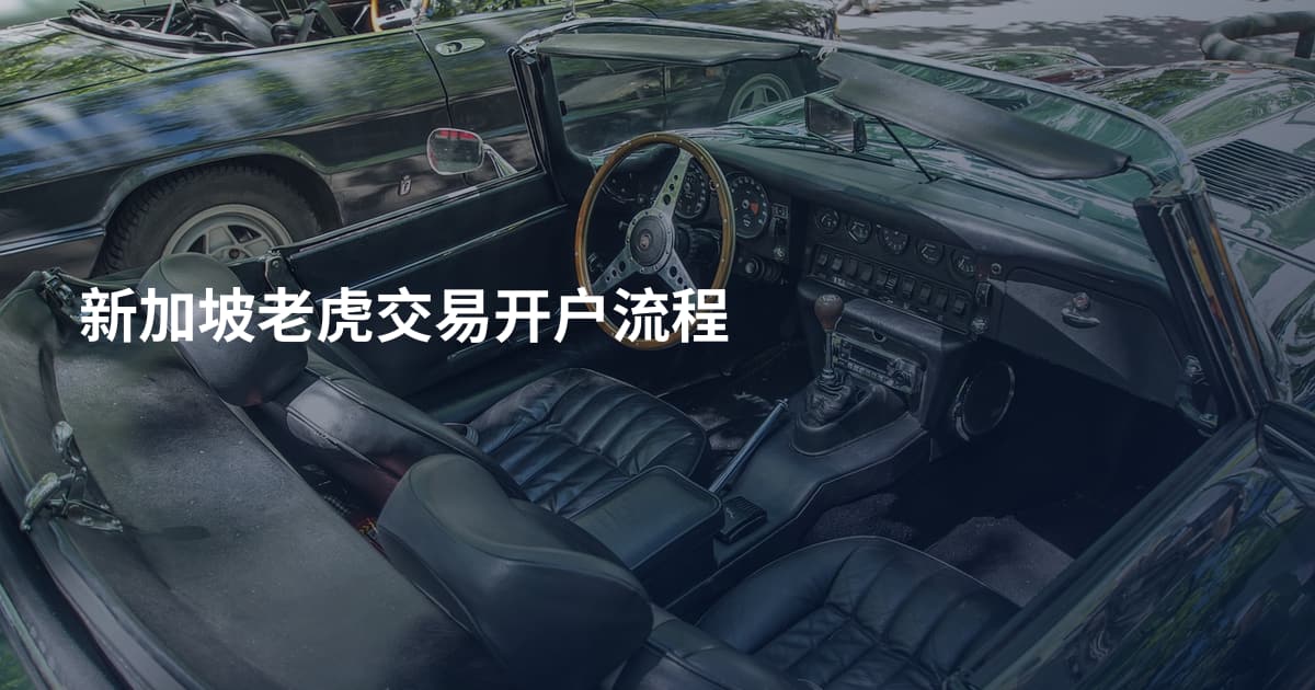 新加坡老虎交易开户流程