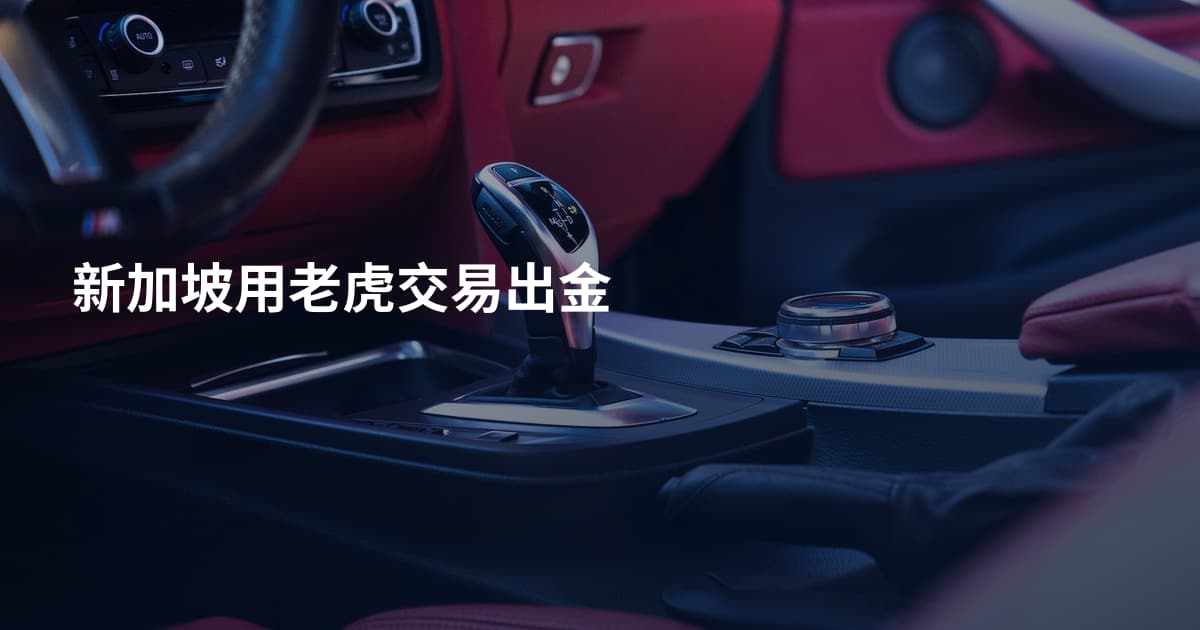 新加坡用老虎交易出金