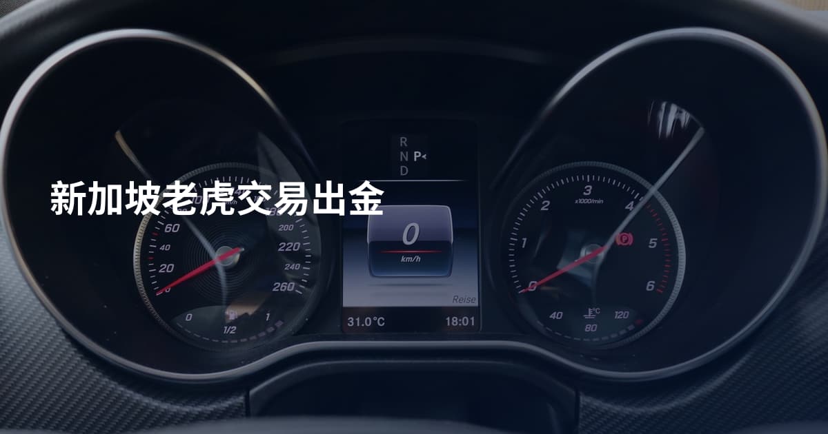 新加坡老虎交易出金