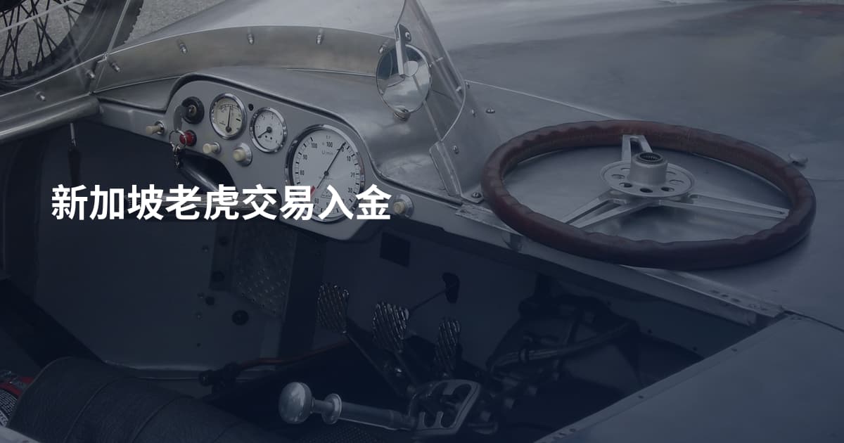 新加坡老虎交易入金