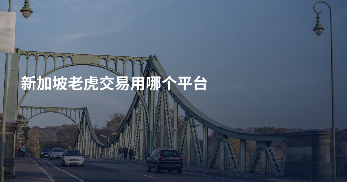 新加坡老虎交易用哪个平台