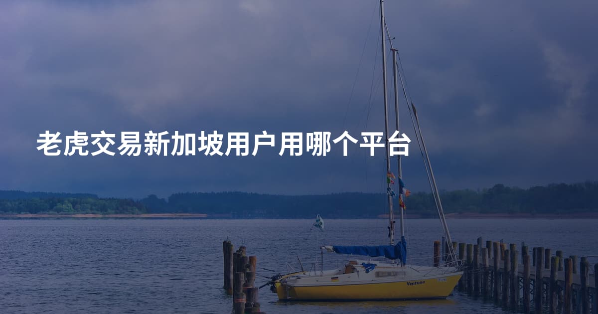 老虎交易新加坡用户用哪个平台