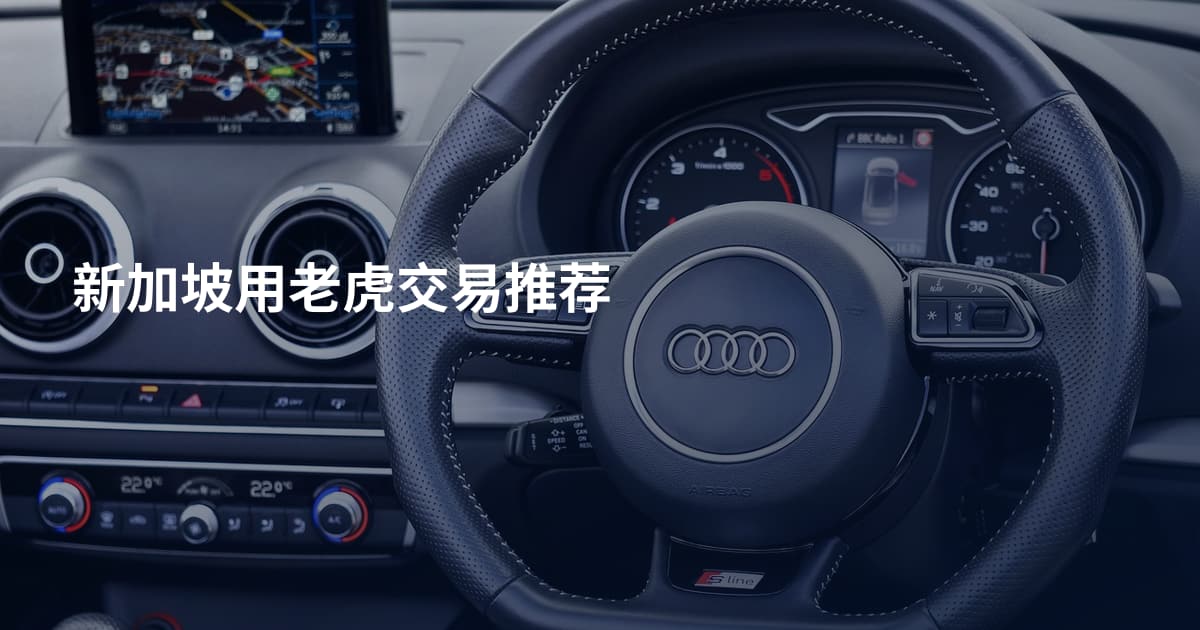 新加坡用老虎交易推荐