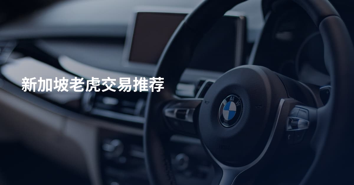 新加坡老虎交易推荐