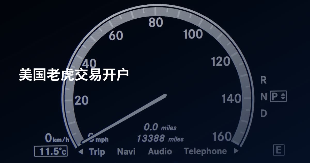 美国老虎交易开户