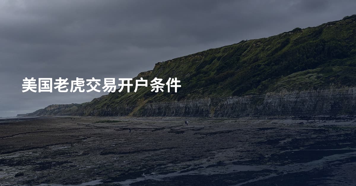 美国老虎交易开户条件