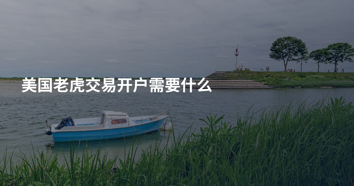 美国老虎交易开户需要什么