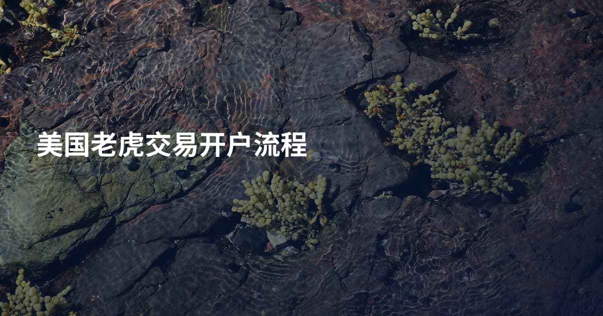 美国老虎交易开户流程