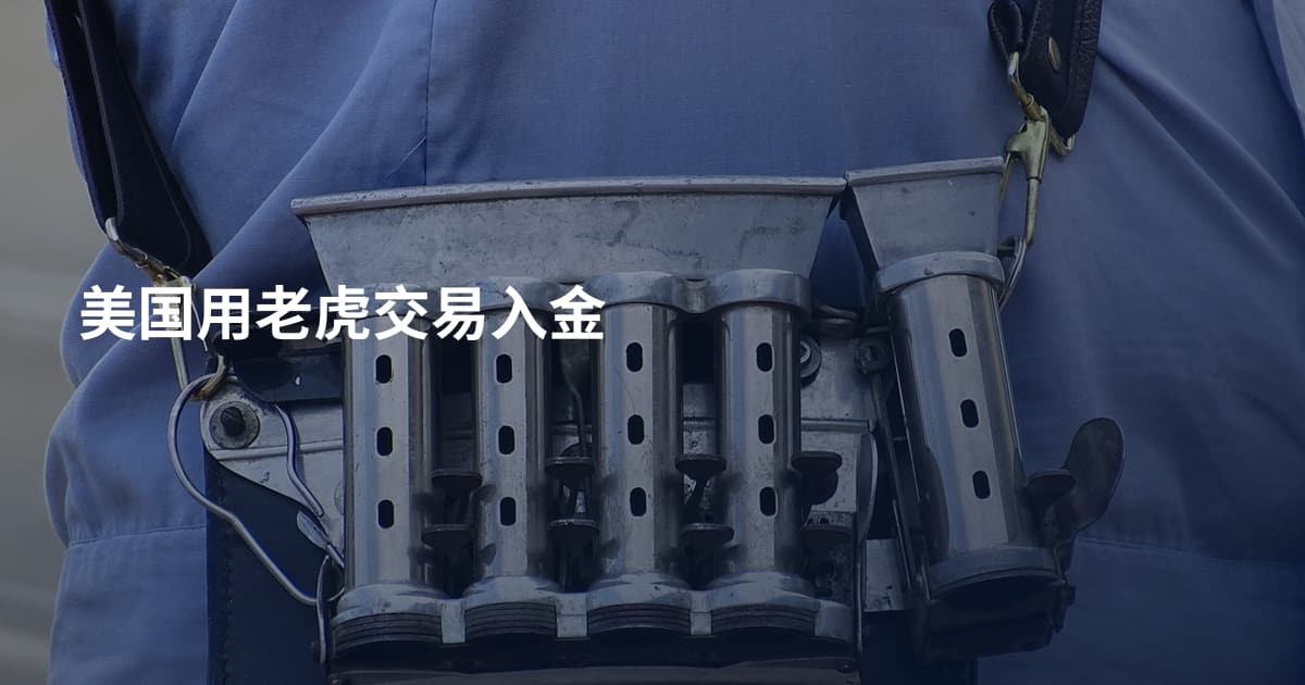 美国用老虎交易入金