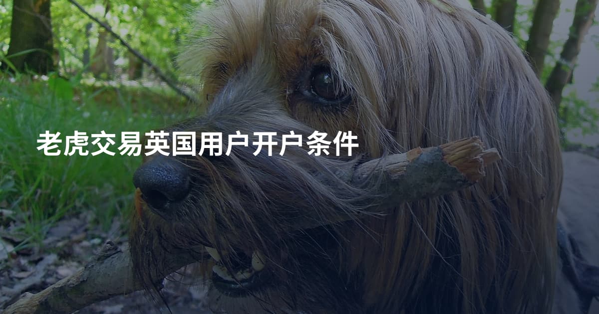 老虎交易英国用户开户条件