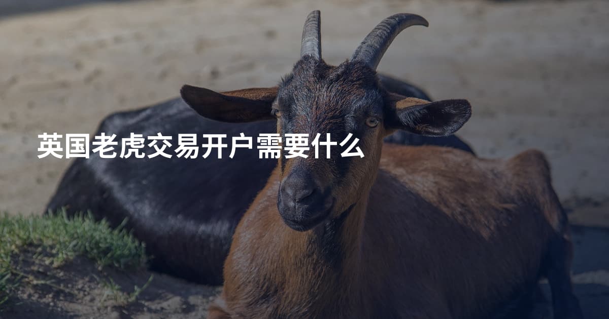 英国老虎交易开户需要什么