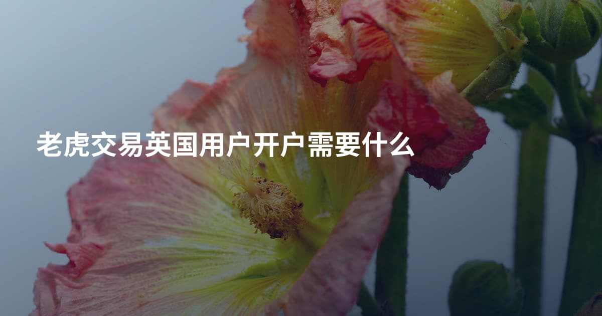 老虎交易英国用户开户需要什么